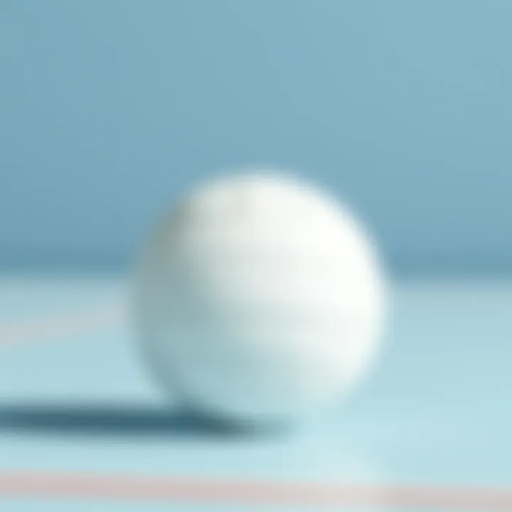Design features of a white volleyball