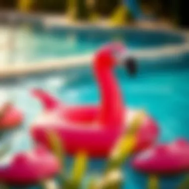Safety features of a flamingo pool float