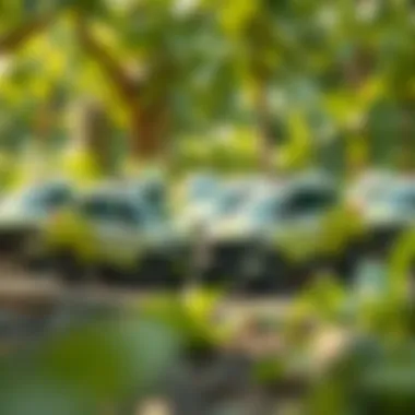 Group of electric cars in a sustainable environment