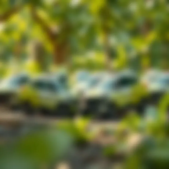 Group of electric cars in a sustainable environment