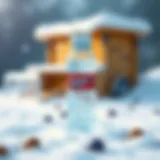 Innovative frozen water bottle design showcasing efficiency