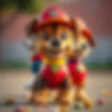 Colorful Paw Patrol outfits for children